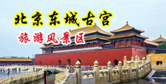 美国美女肥逼操逼逼片中国北京-东城古宫旅游风景区
